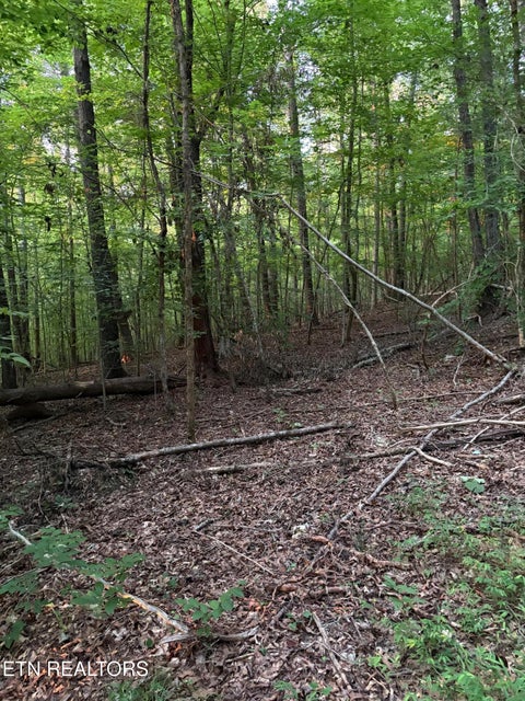 Tiny photo for 1302 Cummingsville/Sparkmantown Rd, Doyle, TN 38559 (MLS # 1345012)