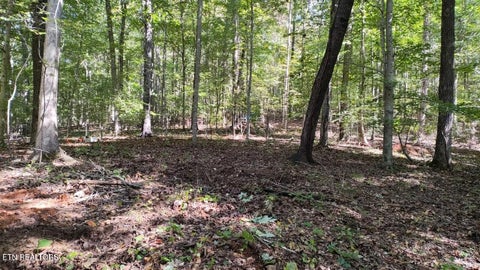Tiny photo for 1302 Cummingsville/Sparkmantown Rd, Doyle, TN 38559 (MLS # 1345012)