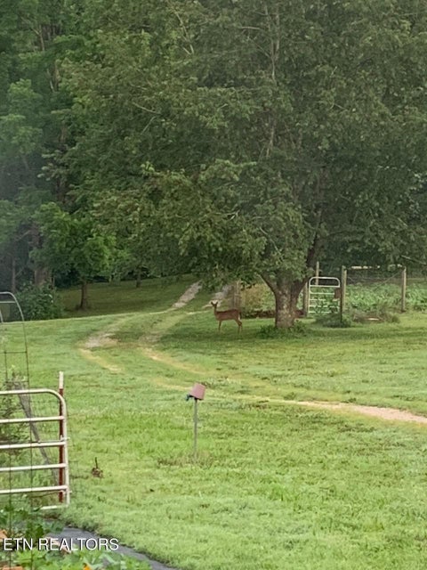 Tiny photo for 1302 Cummingsville/Sparkmantown Rd, Doyle, TN 38559 (MLS # 1345012)