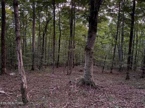 Tiny photo for 1302 Cummingsville/Sparkmantown Rd, Doyle, TN 38559 (MLS # 1345012)