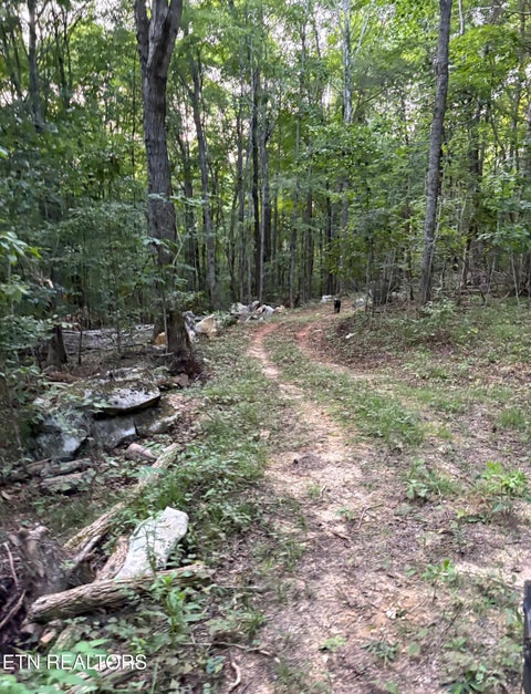 Tiny photo for 1302 Cummingsville/Sparkmantown Rd, Doyle, TN 38559 (MLS # 1345012)