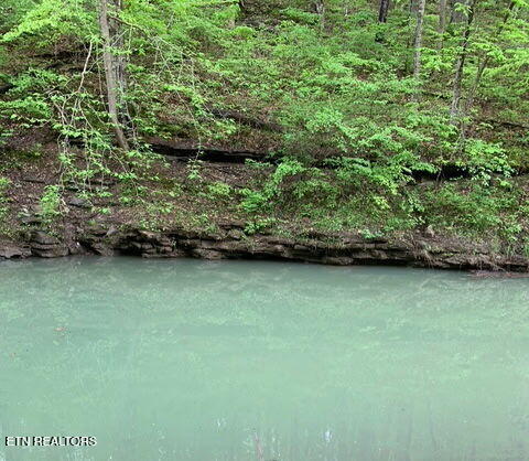 Tiny photo for 1302 Cummingsville/Sparkmantown Rd, Doyle, TN 38559 (MLS # 1345012)