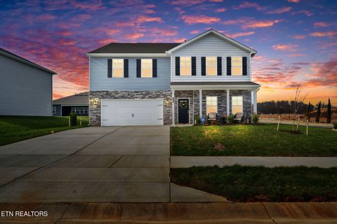 Photo of 339 Cookie Loop, Johnson City, TN 37615 (MLS # 1323012)