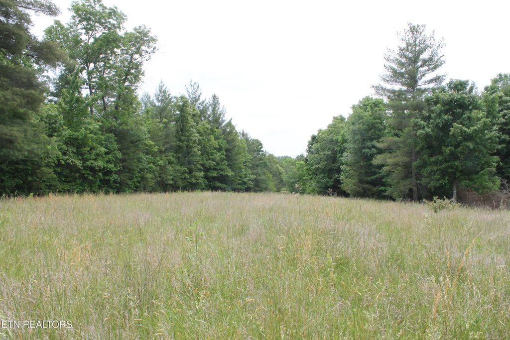 Photo of 232 Wright Cemetery Rd, Allardt, TN 38504 (MLS # 1341540)