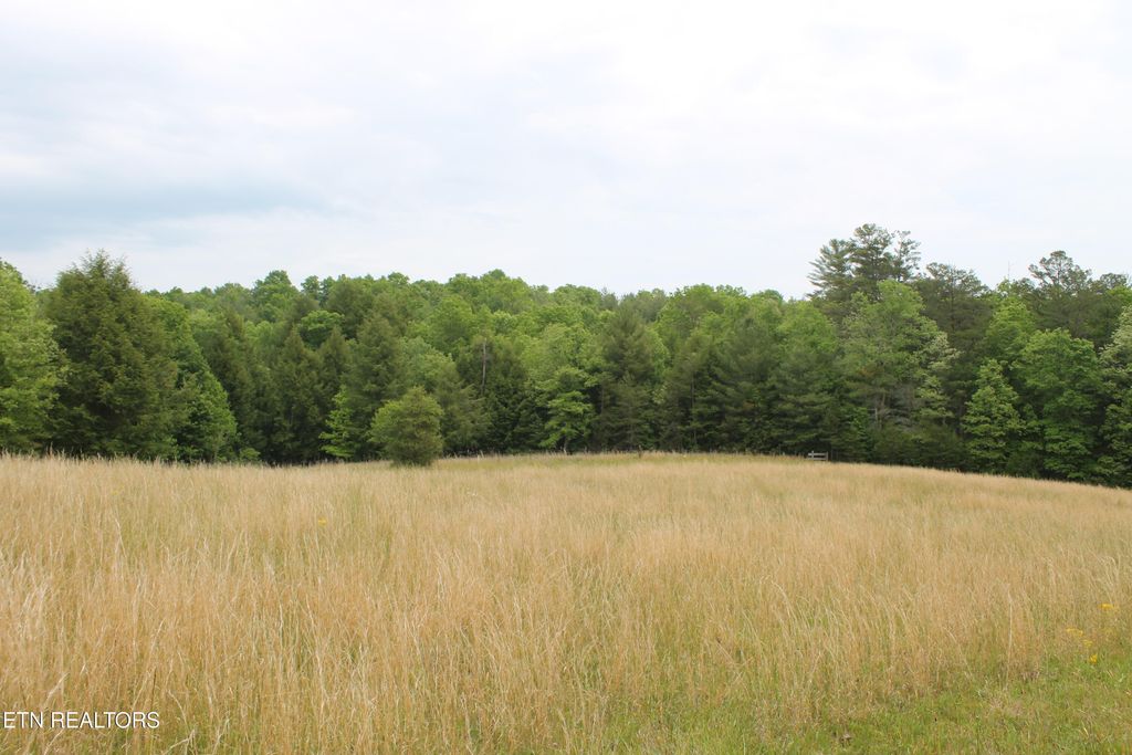 Photo of 232 Wright Cemetery Rd, Allardt, TN 38504 (MLS # 1341540)