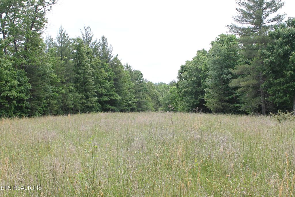 Photo of 232 Wright Cemetery Rd, Allardt, TN 38504 (MLS # 1341540)