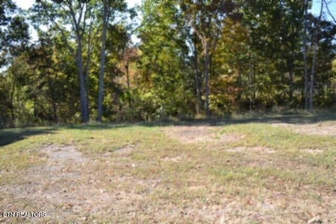 Tiny photo for 796 Old State Hwy 52, Celina, TN 38551 (MLS # 1360311)