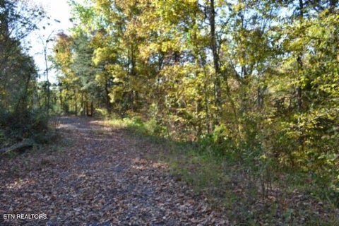 Tiny photo for 796 Old State Hwy 52, Celina, TN 38551 (MLS # 1360311)