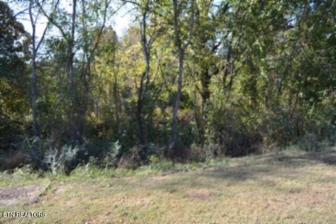 Tiny photo for 796 Old State Hwy 52, Celina, TN 38551 (MLS # 1360311)