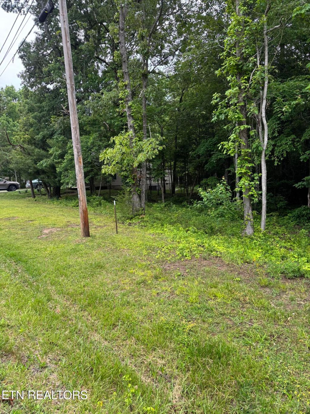 Photo of 121 Windsor Rd, Crossville, TN 38558 (MLS # 1342064)