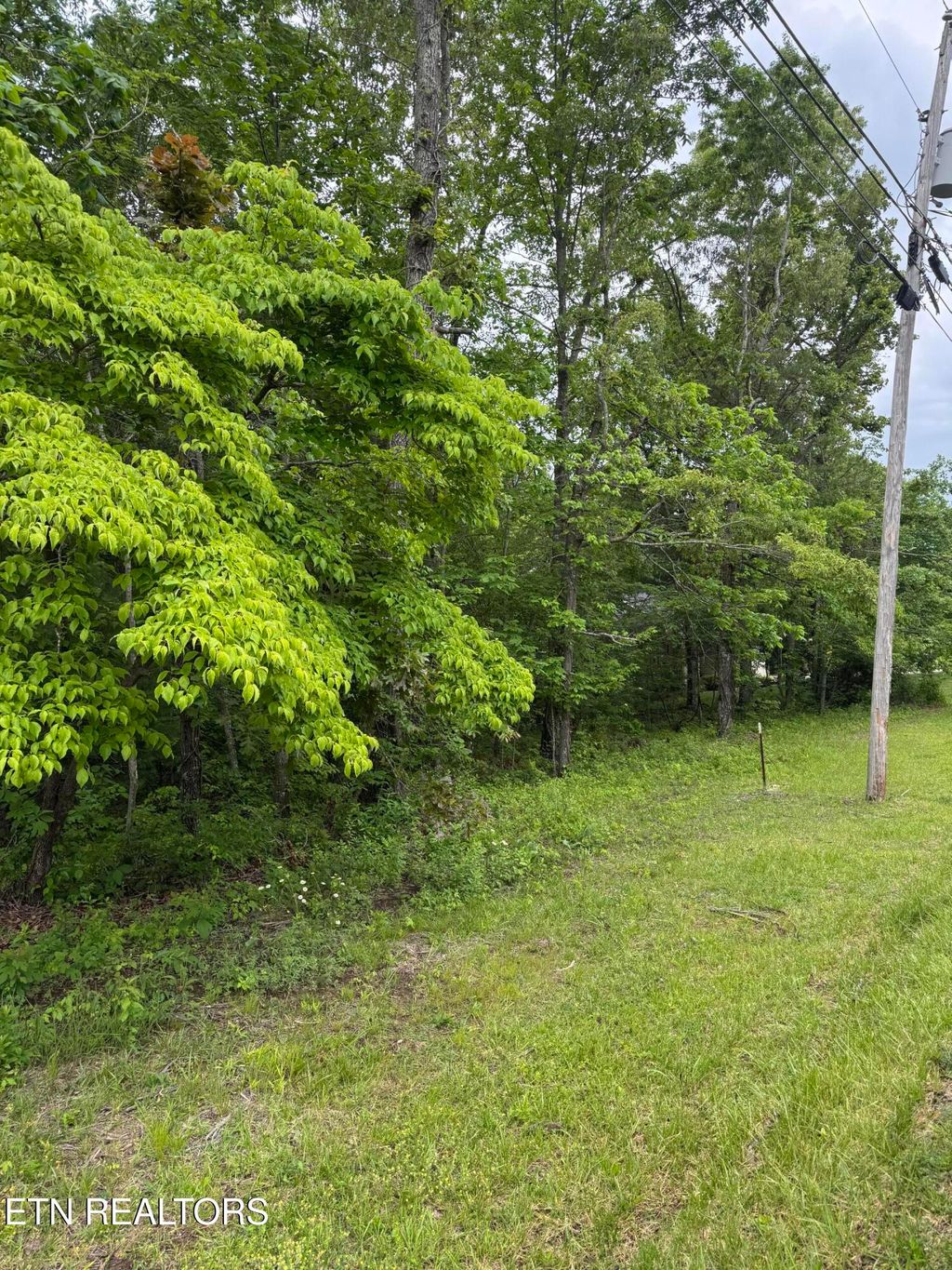 Photo of 121 Windsor Rd, Crossville, TN 38558 (MLS # 1342064)