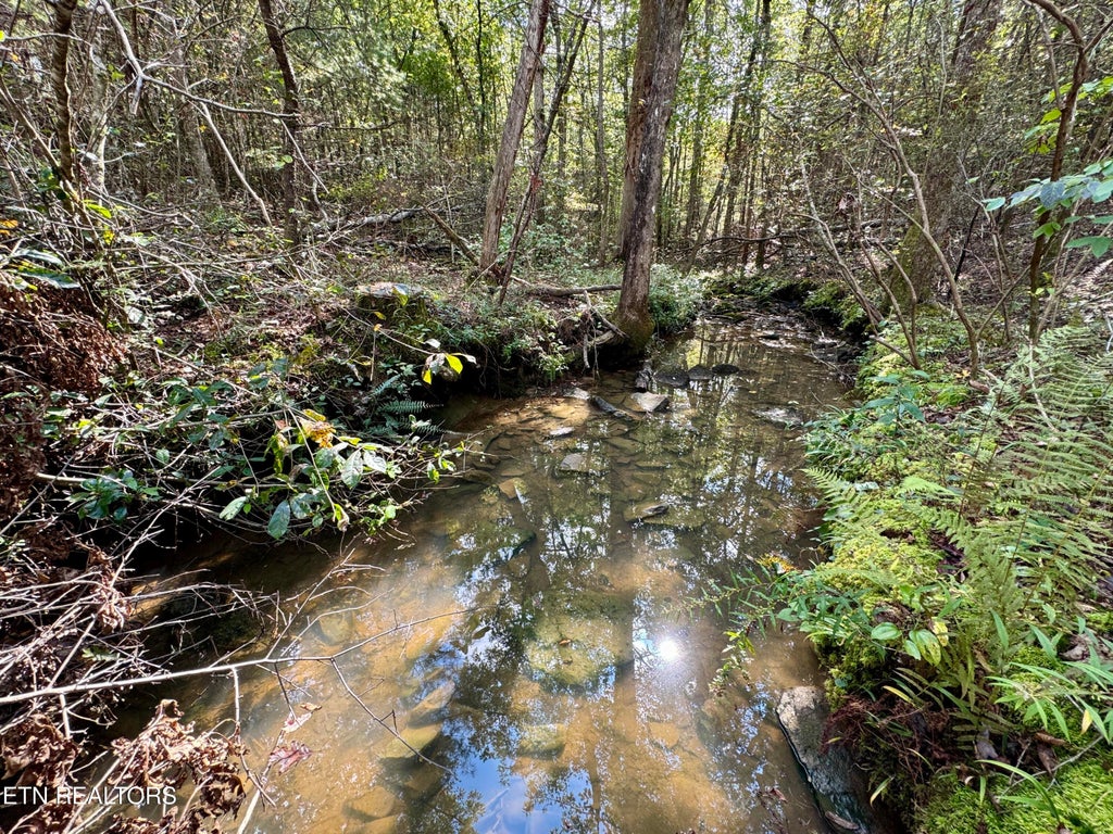Photo of Deer Lodge Hwy, Deer Lodge, TN 37726 (MLS # 1299272)