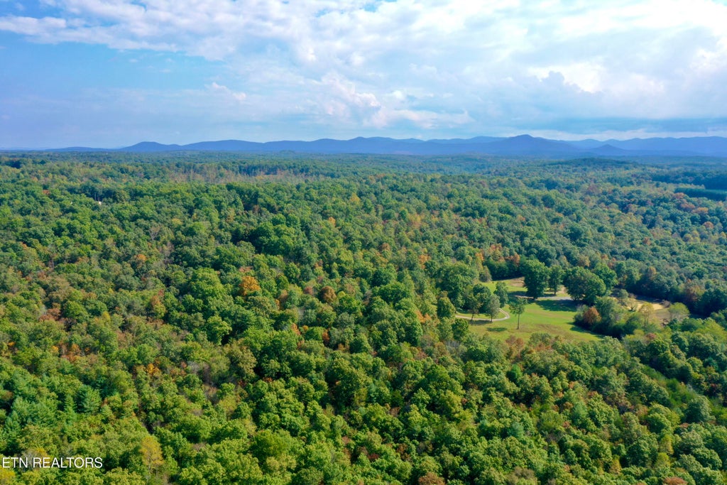Photo of Deer Lodge Hwy, Deer Lodge, TN 37726 (MLS # 1299272)