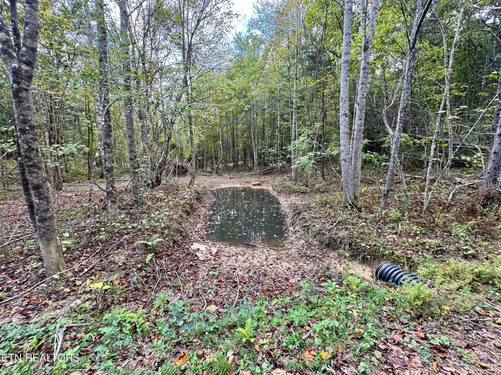 Photo of Deer Lodge Hwy, Deer Lodge, TN 37726 (MLS # 1299272)