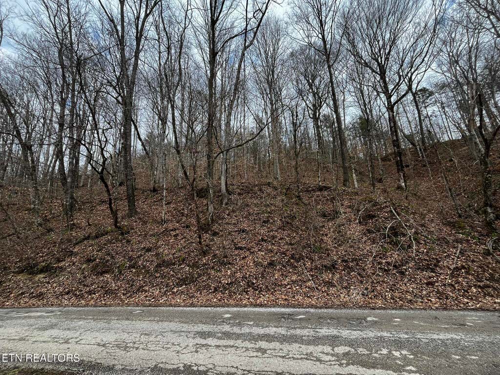 Photo of 0 Paint Rock Creek, Oneida, TN 37841 (MLS # 1288220)