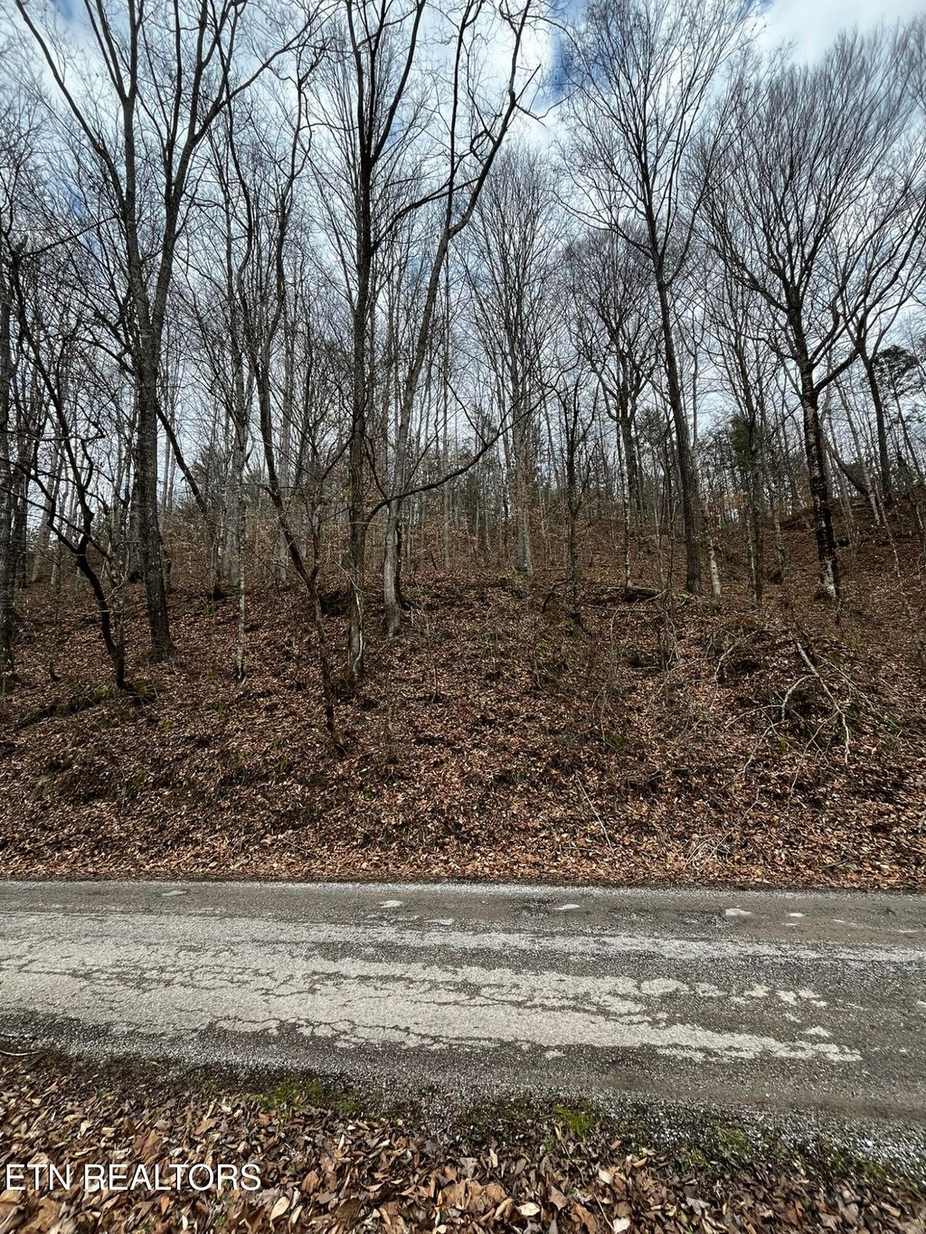 Photo of 0 Paint Rock Creek, Oneida, TN 37841 (MLS # 1288220)