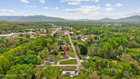 Tiny photo for 115 Spring St, Wartburg, TN 37887 (MLS # 1336728)