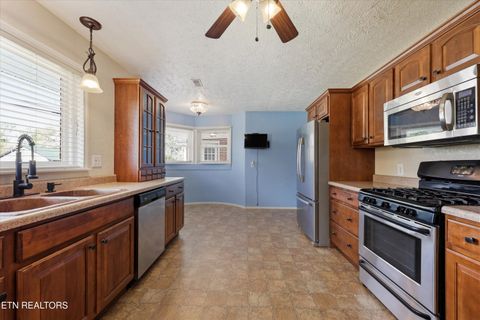 Tiny photo for 115 Spring St, Wartburg, TN 37887 (MLS # 1336728)