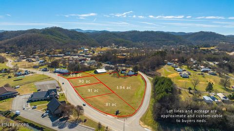 Tiny photo for 226 Cherohala Skwy, Tellico Plains, TN 37385 (MLS # 1327065)