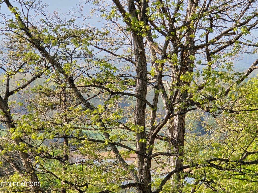 Photo of 29 BOATMANS MOUNTAIN, Morristown, TN 37814 (MLS # 1300695)