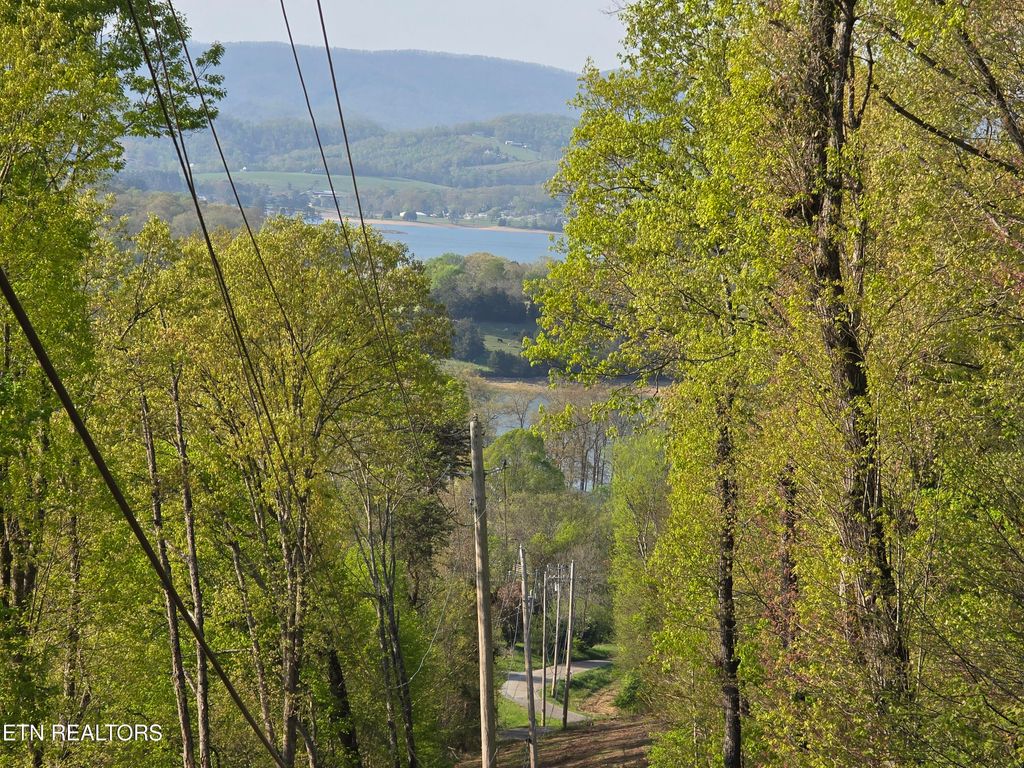 Photo of 29 BOATMANS MOUNTAIN, Morristown, TN 37814 (MLS # 1300695)