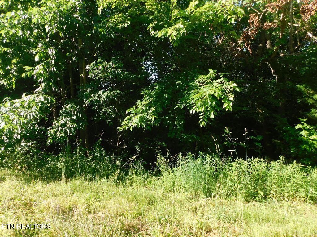 Photo of Lot 719 Whistle Valley Road, New Tazewell, TN 37825 (MLS # 1248982)