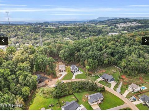 Tiny photo for 250 Clear Creek Rd, Kodak, TN 37764 (MLS # 1324451)