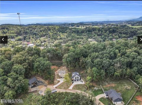 Tiny photo for 250 Clear Creek Rd, Kodak, TN 37764 (MLS # 1324451)