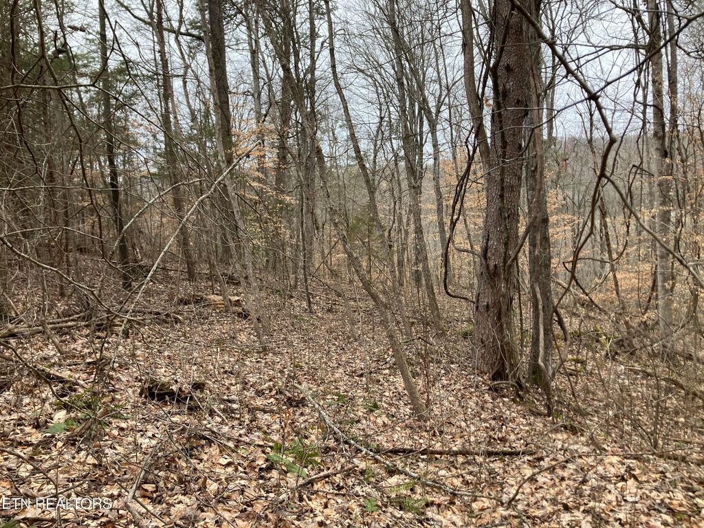 Photo of Lone Mountain Rd, New Tazewell, TN 37825 (MLS # 1290410)