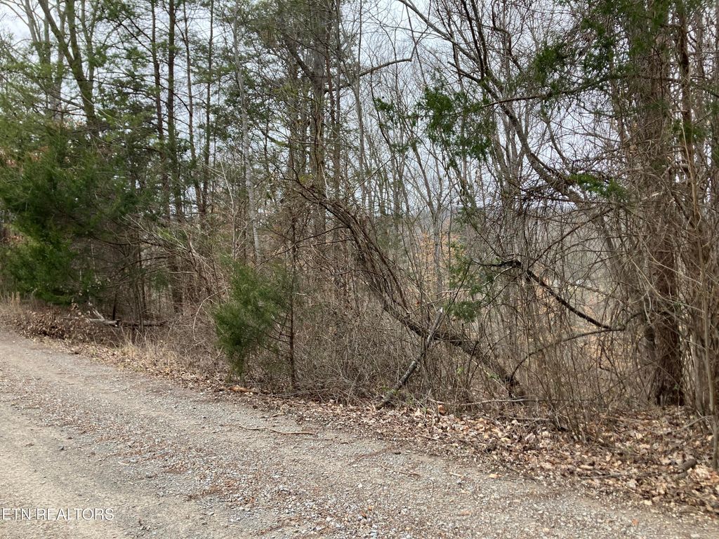Photo of Lone Mountain Rd, New Tazewell, TN 37825 (MLS # 1290410)