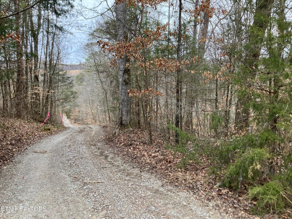 Photo of Lone Mountain Rd, New Tazewell, TN 37825 (MLS # 1290410)