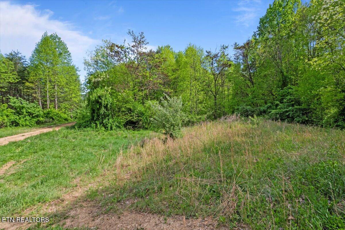 150 Timber Oaks Lane