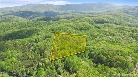 Photo of 150 Timber Oaks Lane, Pioneer, TN 37847 (MLS # 1299159)