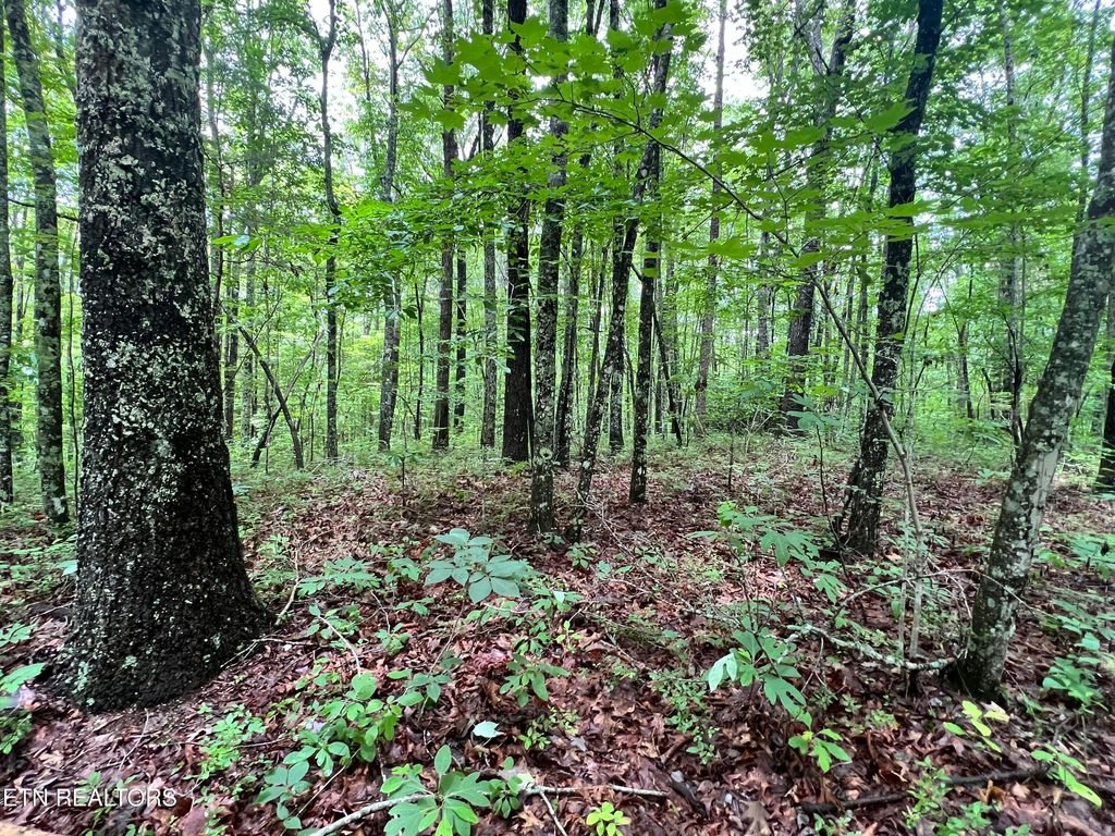 Photo of 4 ROB WATSON Rd, Oneida, TN 37841 (MLS # 1309405)