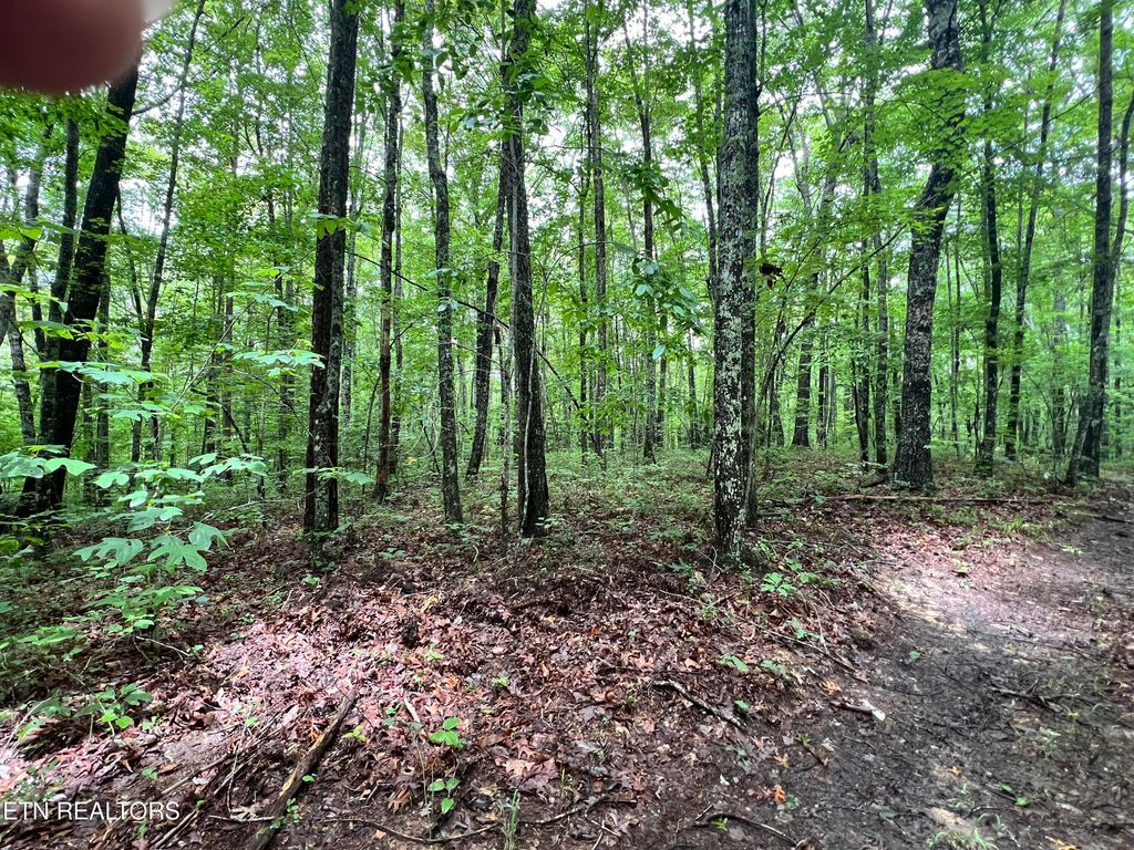 Photo of 4 ROB WATSON Rd, Oneida, TN 37841 (MLS # 1309405)