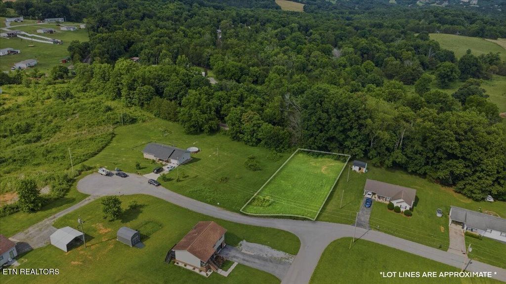Photo of LOT 10 Leabow Circle, New Tazewell, TN 37825 (MLS # 1339664)