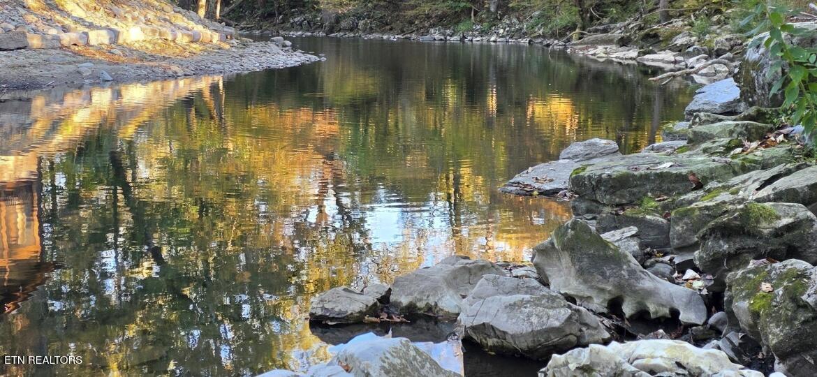 8229 E Lamar Alexander Pkwy