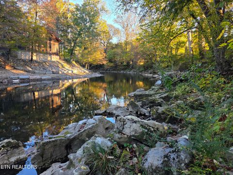 Tiny photo for 8229 E Lamar Alexander Pkwy, Townsend, TN 37882 (MLS # 1319288)
