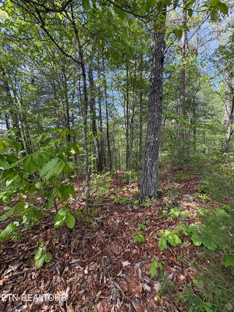 Tiny photo for 261 Mountain Retreat Rd, Townsend, TN 37882 (MLS # 1337998)