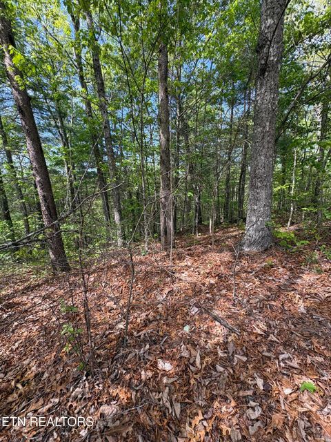 Tiny photo for 261 Mountain Retreat Rd, Townsend, TN 37882 (MLS # 1337998)