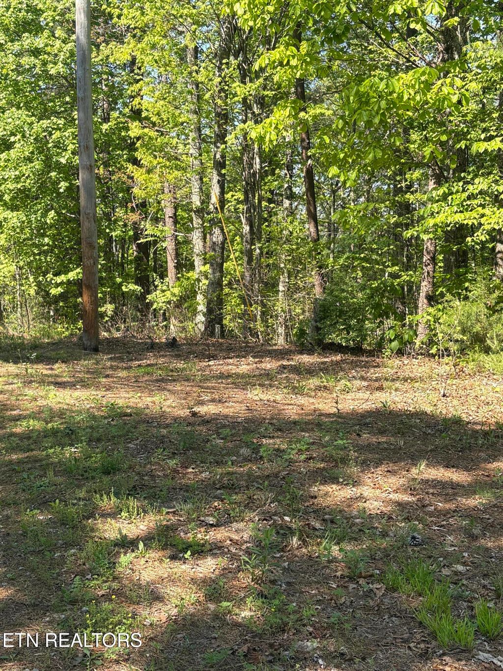 Photo of 261 Mountain Retreat Rd, Townsend, TN 37882 (MLS # 1337998)