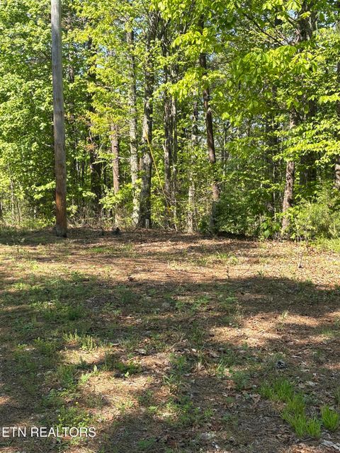 Tiny photo for 261 Mountain Retreat Rd, Townsend, TN 37882 (MLS # 1337998)