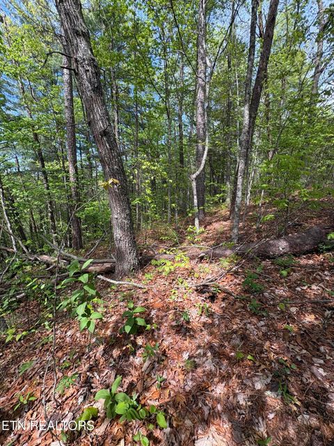 Tiny photo for 261 Mountain Retreat Rd, Townsend, TN 37882 (MLS # 1337998)