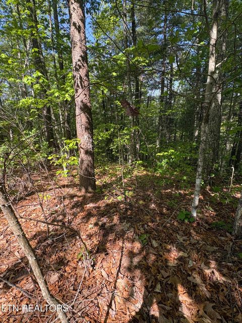 Tiny photo for 261 Mountain Retreat Rd, Townsend, TN 37882 (MLS # 1337998)