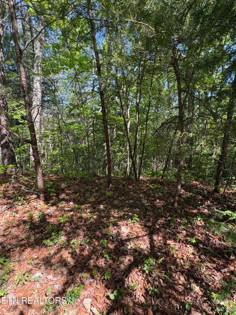 Tiny photo for 261 Mountain Retreat Rd, Townsend, TN 37882 (MLS # 1337998)