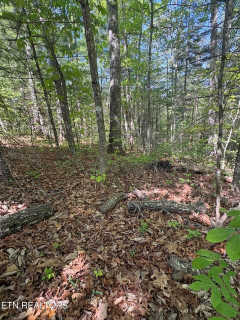 Tiny photo for 261 Mountain Retreat Rd, Townsend, TN 37882 (MLS # 1337998)
