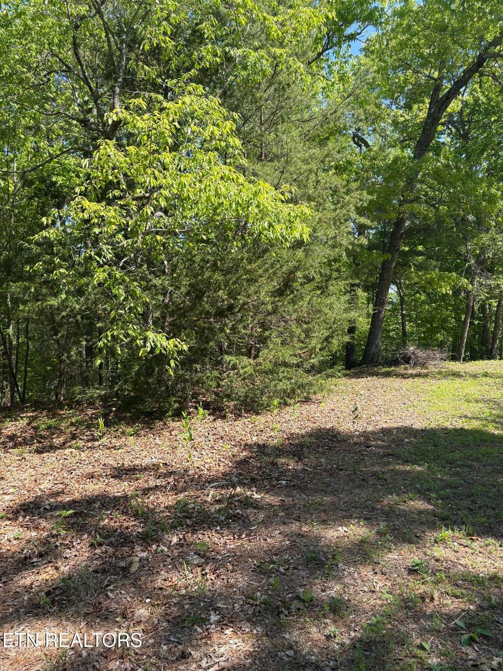 Photo of 261 Mountain Retreat Rd, Townsend, TN 37882 (MLS # 1337998)