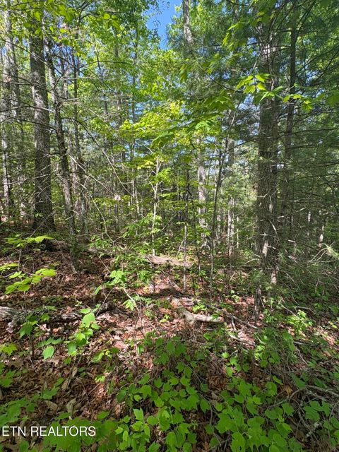 Tiny photo for 261 Mountain Retreat Rd, Townsend, TN 37882 (MLS # 1337998)