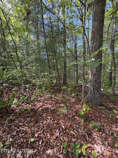 Tiny photo for 261 Mountain Retreat Rd, Townsend, TN 37882 (MLS # 1337998)