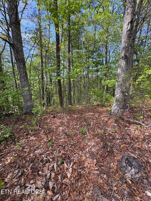 Tiny photo for 261 Mountain Retreat Rd, Townsend, TN 37882 (MLS # 1337998)